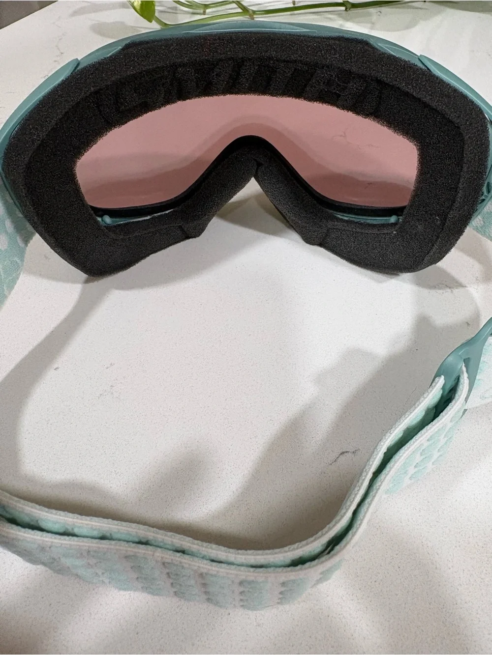 Smith Optics Transit Pro Ski and Snowboard Goggles